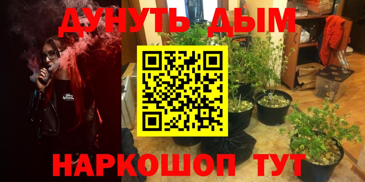 Шишки марихуана конопля  Конопля OG Kush  Вход с VPN  Кузнецк  МАРИХУАНА план  Канабис OG Kush 
